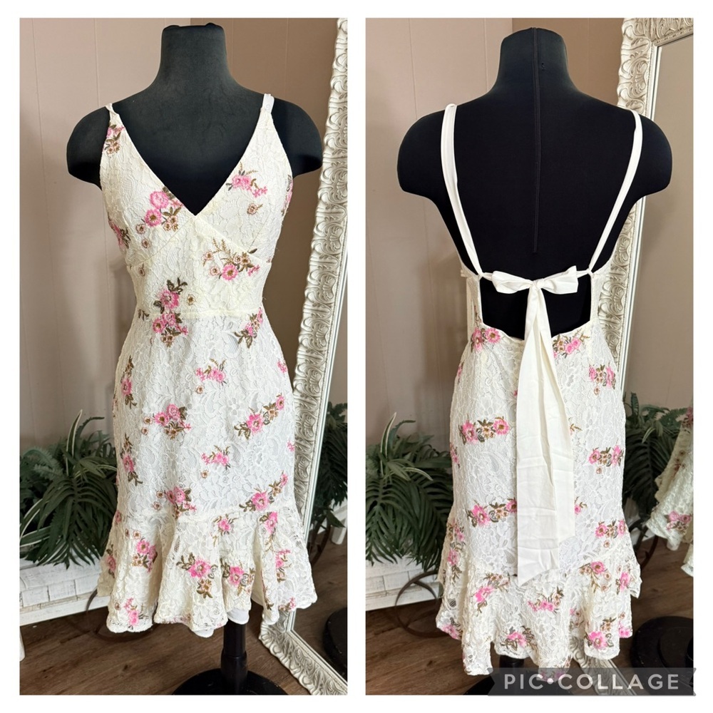 WAYF • Ferrera Lace Floral Party Dress